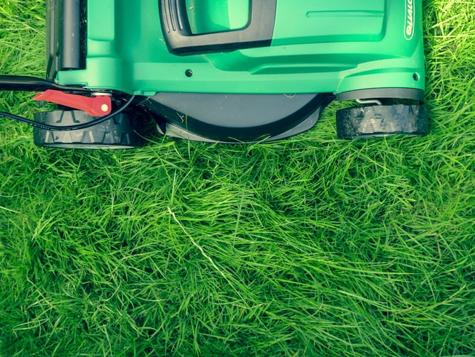 Lawn Care